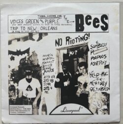 THE BEES – Voices Green & Purple